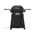 Weber Q série